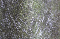 Leumrabhagh fibreglass roof work