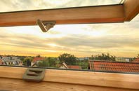 rated Leumrabhagh roof window companies